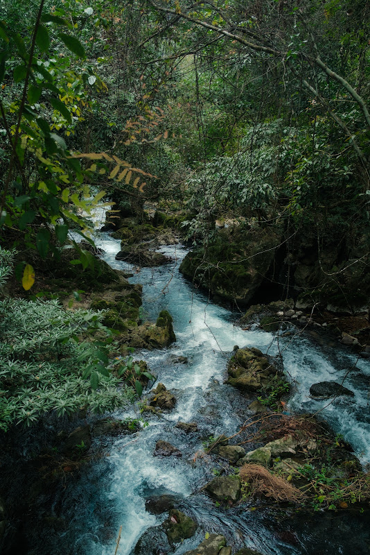 CAOBANG-28.JPG